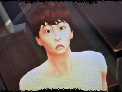 sims breaking the fourth wall