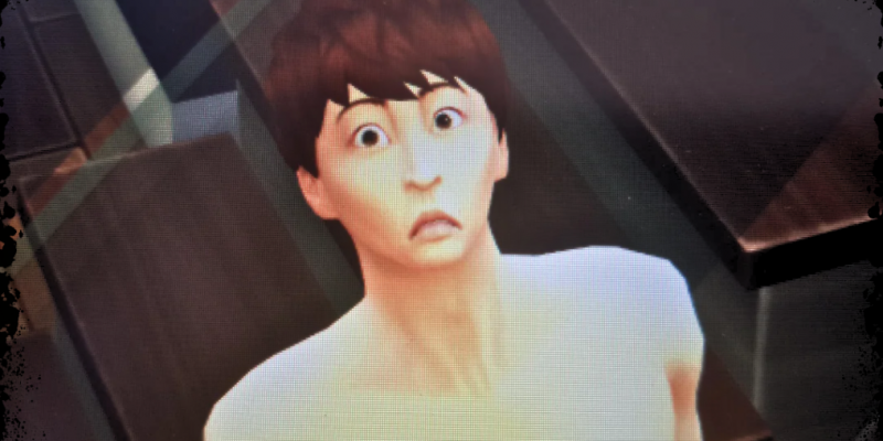 sims breaking the fourth wall