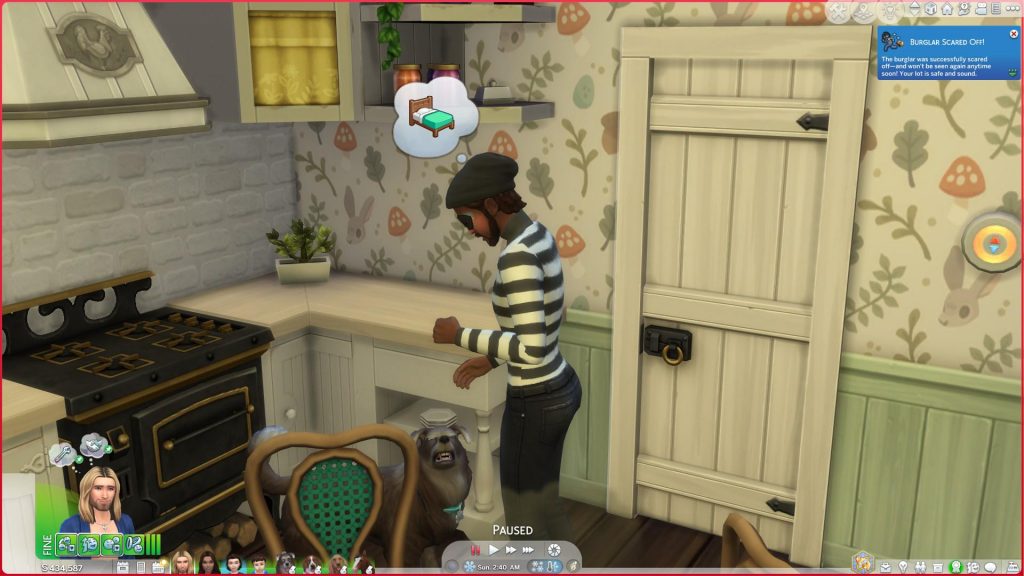 Burglar running into a dog