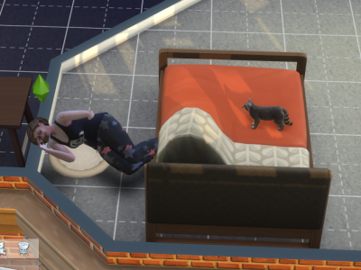Sims 4 Cat bed Glitch