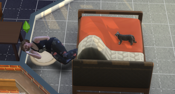 Sims 4 Cat bed Glitch