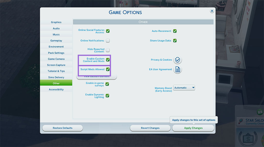The Sims 4 Options