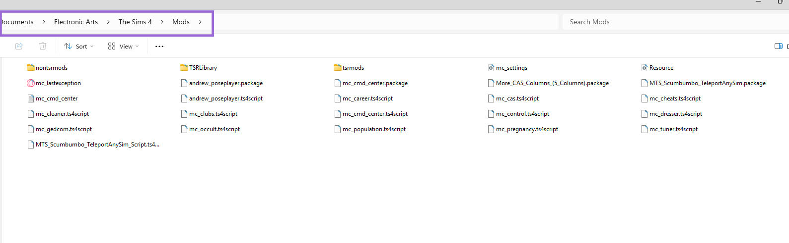 The Sims 4 Mods Folder