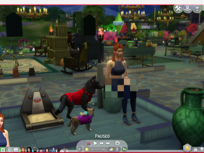 Two pets in the restroom with their owner.