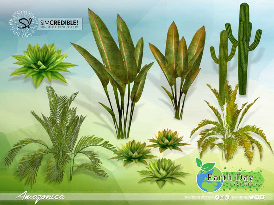Spring Garden & Landscaping CC
