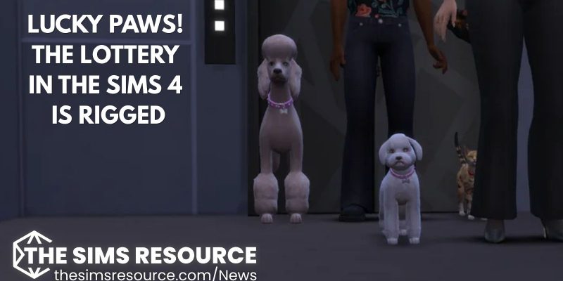 Sims 4 Lottery