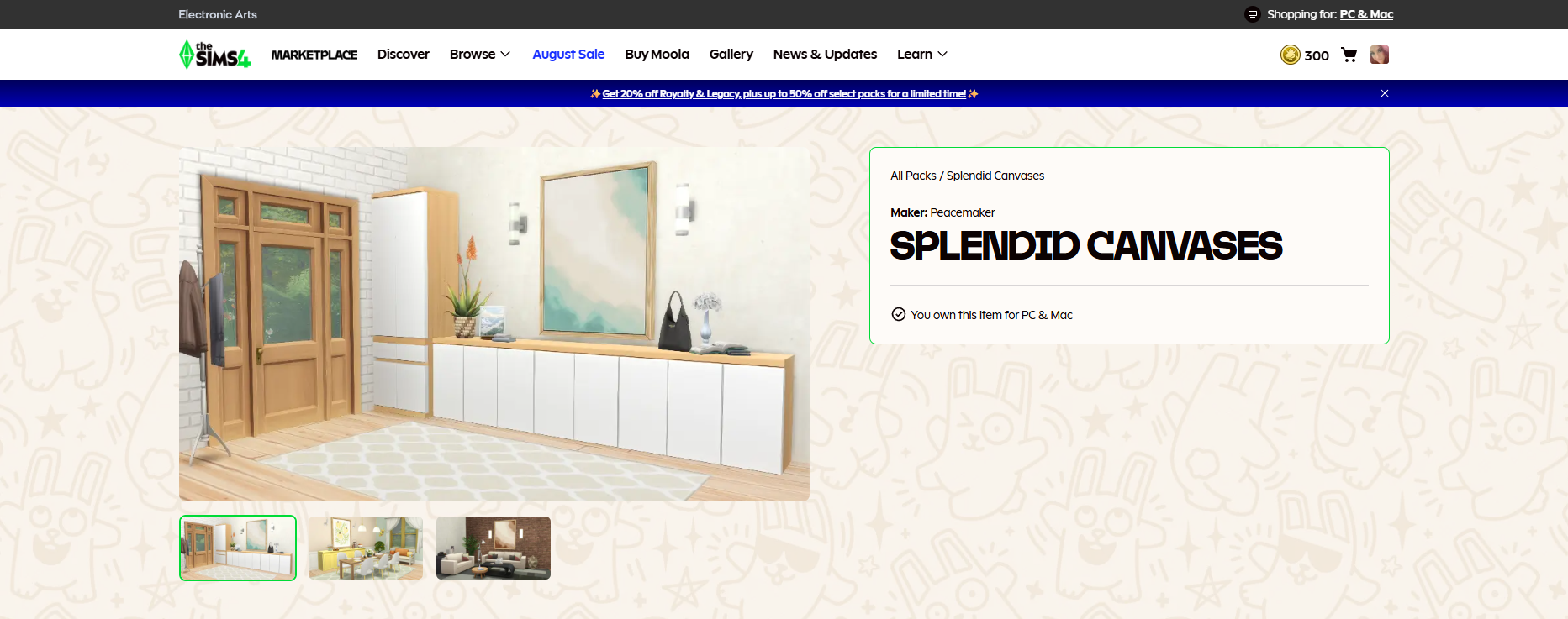 Splendid Canvases by Peacemaker