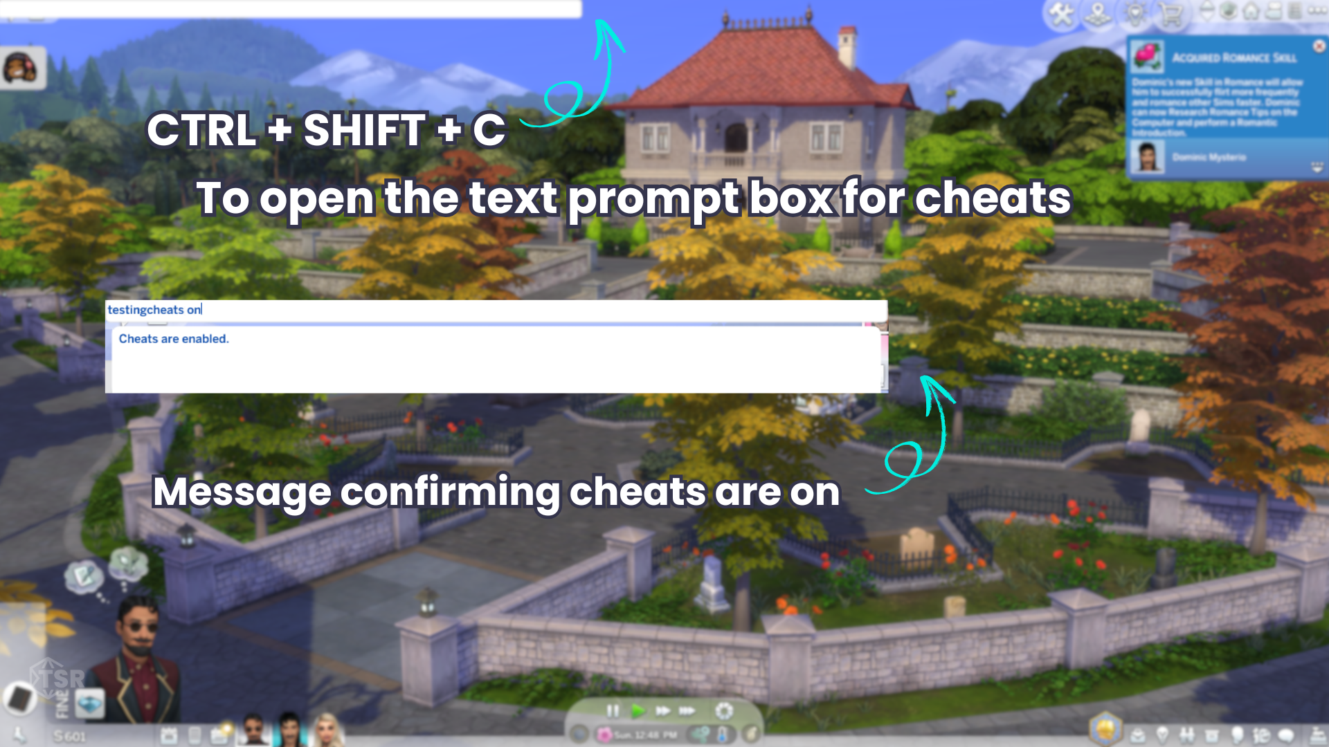 Sims 4 Cheats