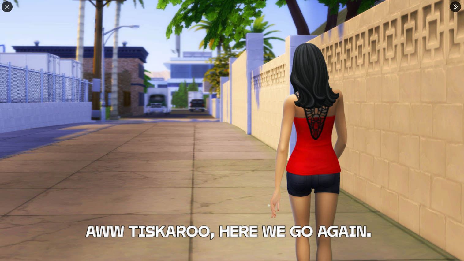 Sims 4 GTA Meme