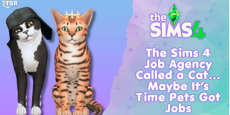 Sims 4 Cat