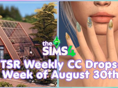 New Sims 4 CC