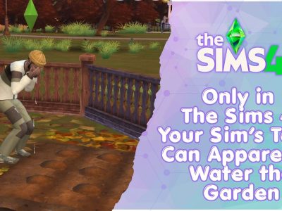 Sims 4 Grief