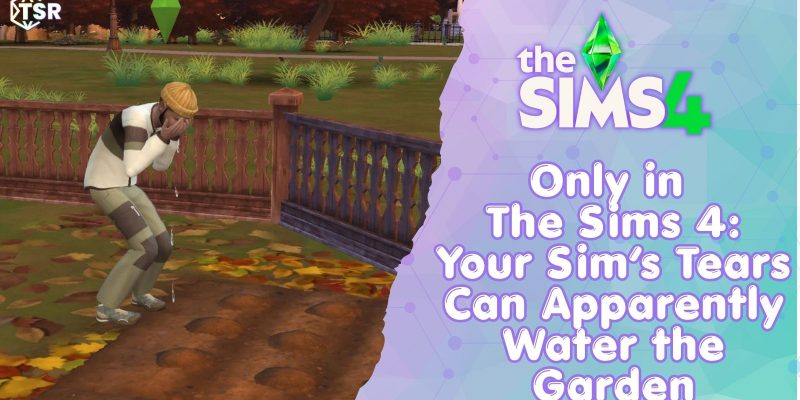 Sims 4 Grief