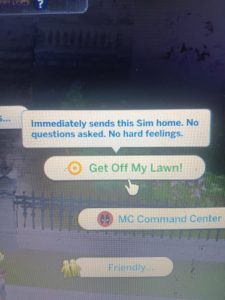 Hidden Sims 4 Interaction